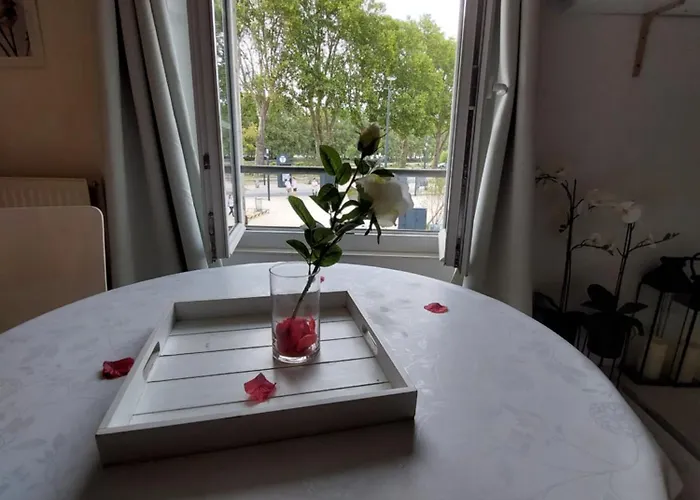 White - Les Delices Daire